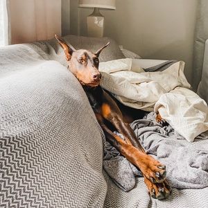 Meet your Posher, Natalie